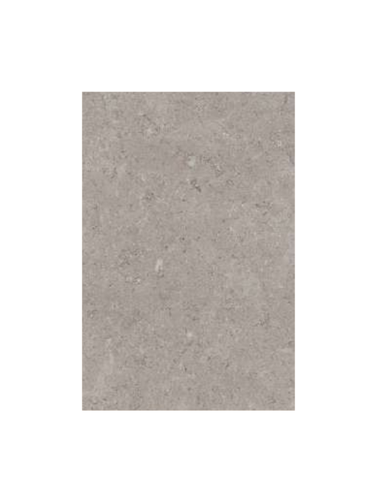 Dijon Grey Porcelain Paving Outdoor Tile - 600x900x20mm