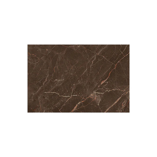 Brown marble tile with visible veins on a white background