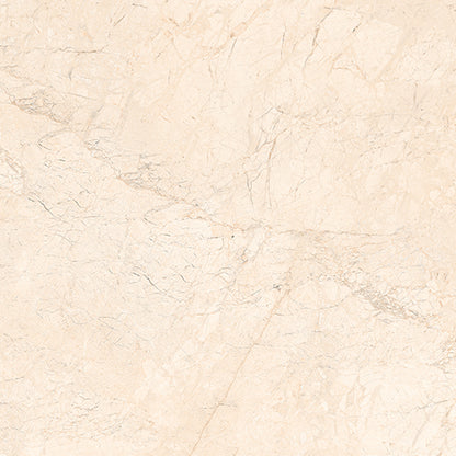 Close-up of Magnificent Marfil Glossy 600x600mm floor tile showing smooth reflective surface