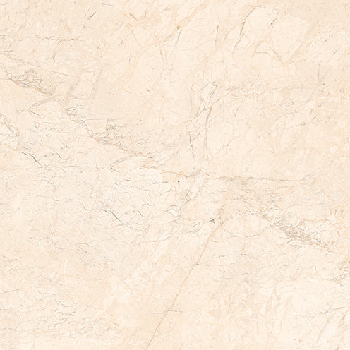 Close-up of Magnificent Marfil Glossy Wall Tile 600x600mm texture and glossy surface