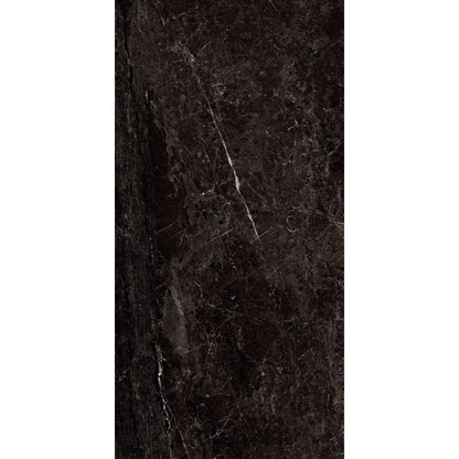 Dark marble tile with visible veins on a white background