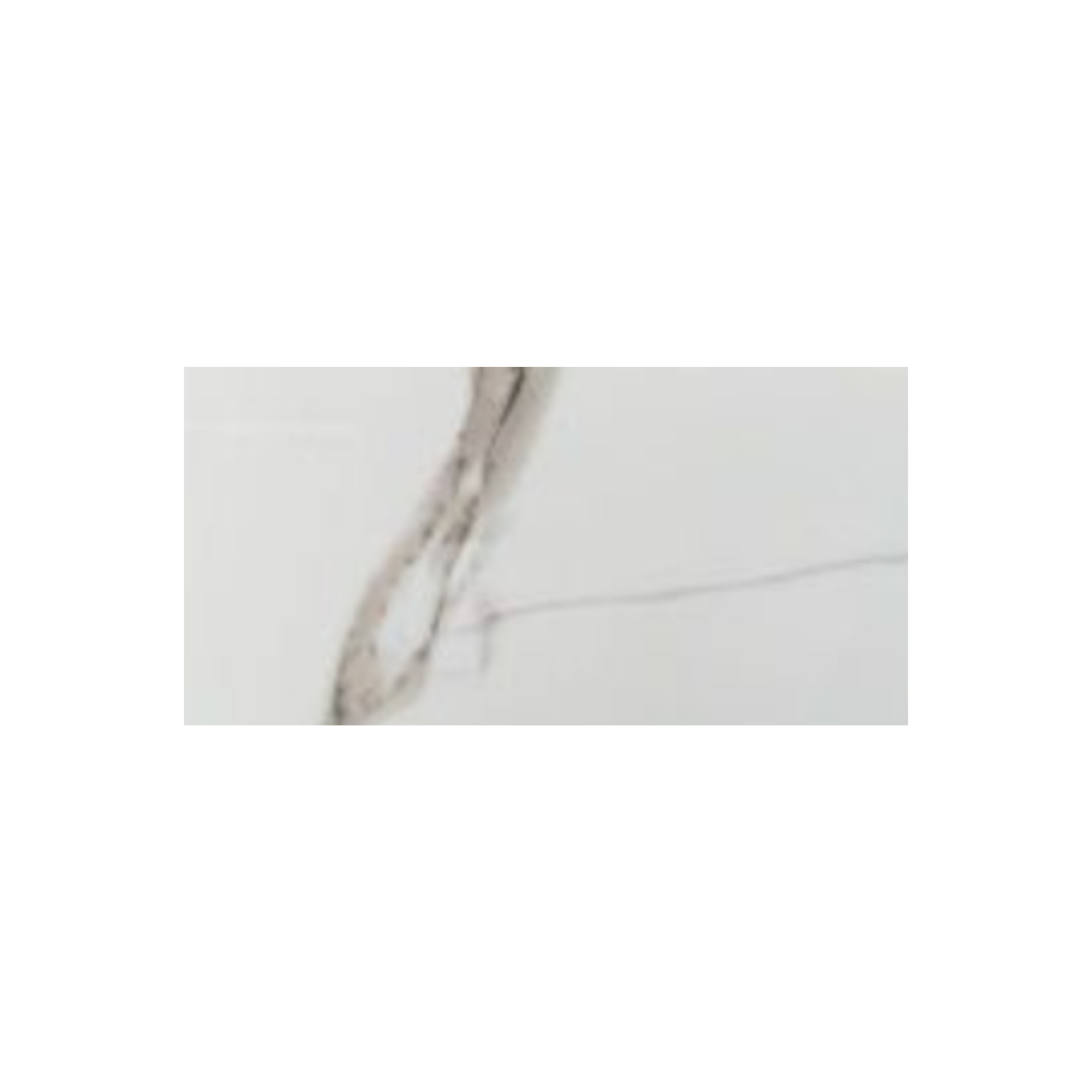 Close-up of a marble-patterned tile with a subtle gray veining on a white background