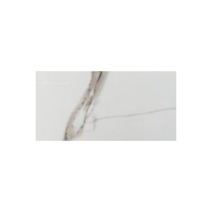 Close-up of a marble-patterned tile with a subtle gray veining on a white background