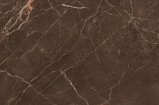 Coffee-brown Frisa Coffee DK ceramic wall tile suitable for bathroom and kitchen walls.