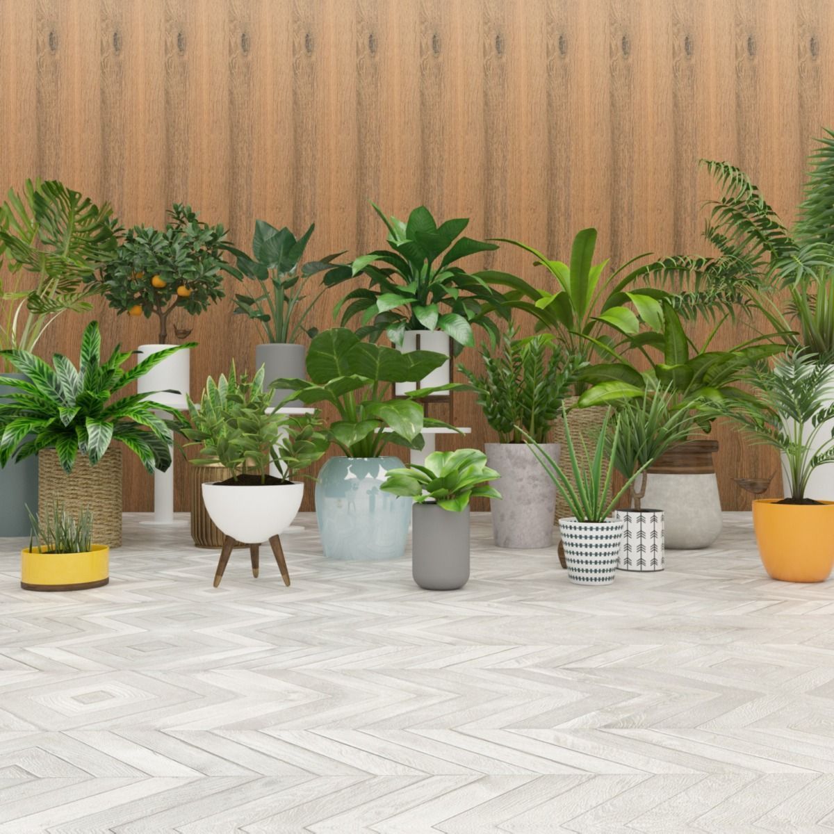 Various potted plants on a wooden deck