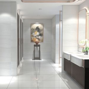 Demira Bianco Glossy Floor Tile (300x600mm)