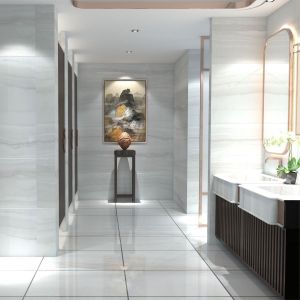 Demira White Glossy Floor / Wall Tile (300x600mm)
